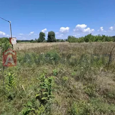 Купить участок - Черкасская обл., Сагуновка с.. Продажа недвижимости - Черкасский, вторичный рынок и новострой недорого, цена до 10000$, объявление №1994701 фото 2