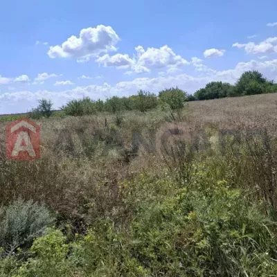 Купить участок - Черкасская обл., Сагуновка с.. Продажа недвижимости - Черкасский, вторичный рынок и новострой недорого, цена до 10000$, объявление №1994701 фото 6