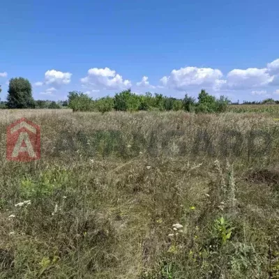 Купить участок - Черкасская обл., Сагуновка с.. Продажа недвижимости - Черкасский, вторичный рынок и новострой недорого, цена до 10000$, объявление №1994701 фото 8