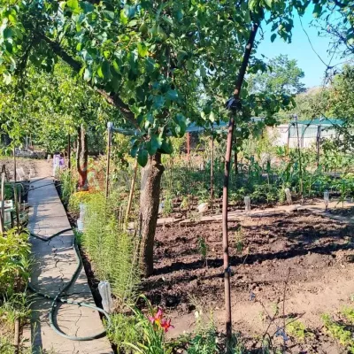 Купить дом - Днепр. Продажа недвижимости - Чечеловский (Красногвардейский), вторичный рынок и новострой недорого, цена до 6000$, объявление №1989647 фото 3