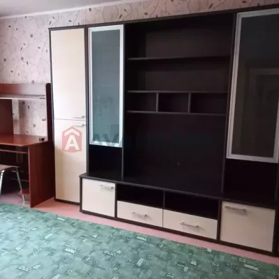 Снять квартиру - Днепр, Паторжинского ул.. Аренда недвижимости - Соборный (Жовтневый), вторичный рынок и новострой недорого, цена до 10000грн, объявление №2008854 фото 6