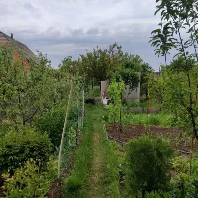 Купить дом - Днепропетровская обл.. Продажа недвижимости - Днепровский, вторичный рынок и новострой недорого, цена до 29000$, объявление №1760321 фото 4