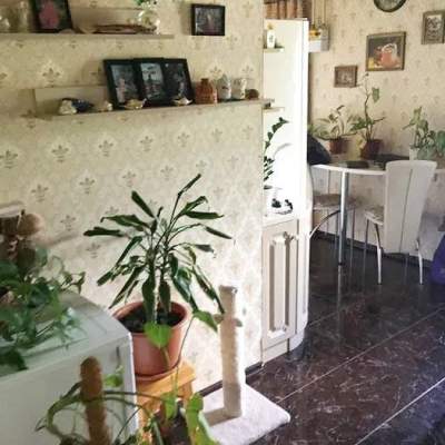 Снять квартиру - Сумы. Аренда недвижимости - Заречный, вторичный рынок и новострой недорого, цена до 12000грн, объявление №2040788 фото 2